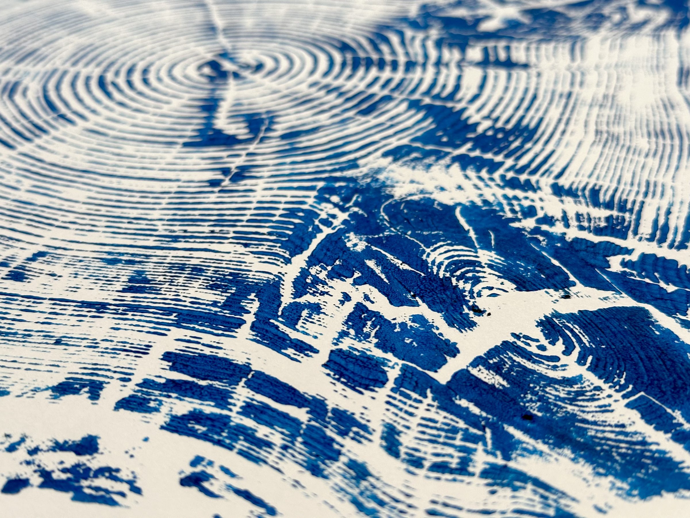 blue tree ring close up