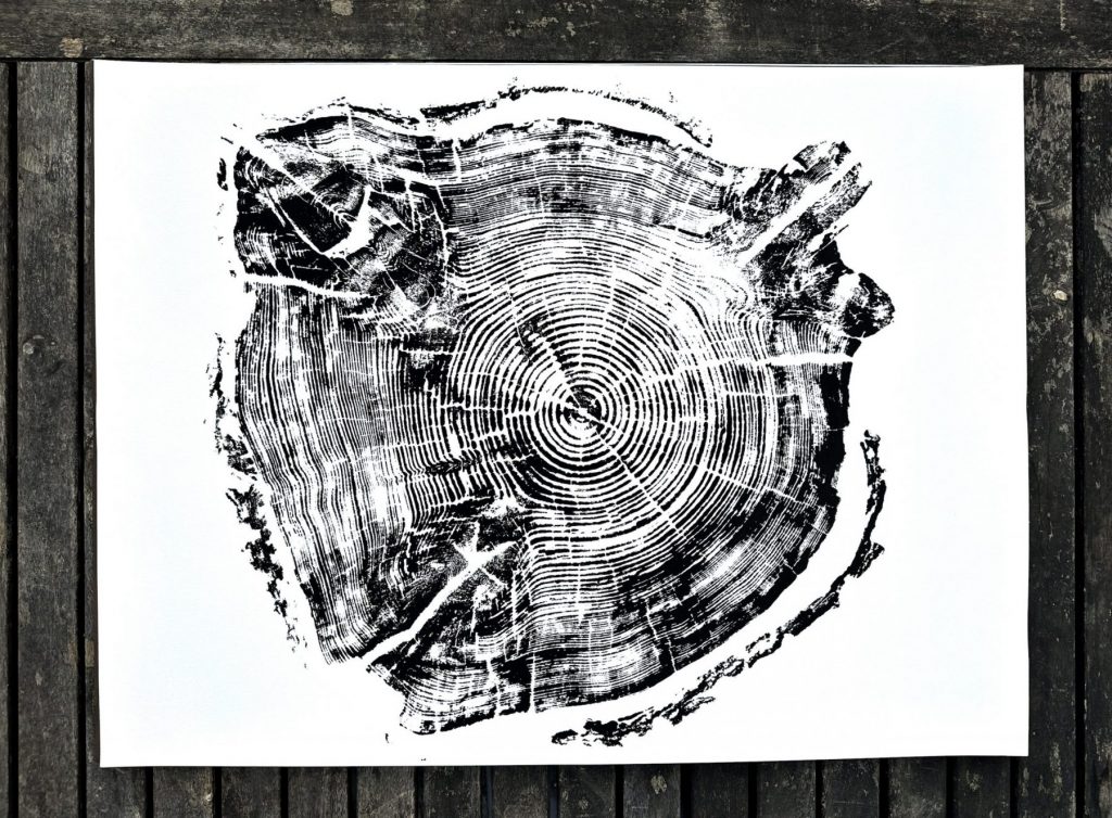 Block print of tree rings by A N C