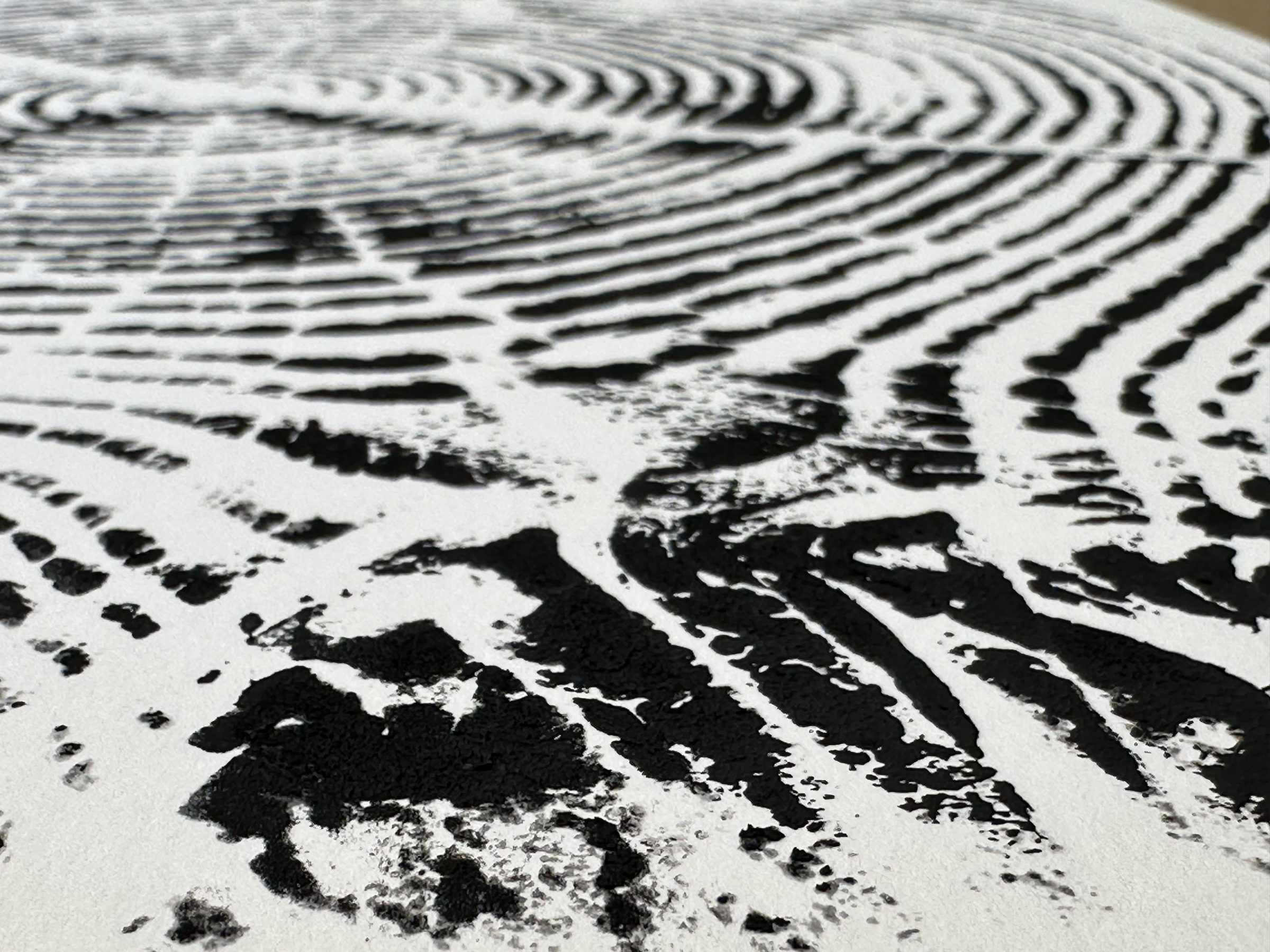 texture close up of tree ring print