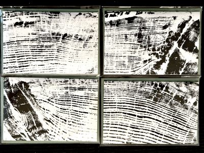 Tree Ring Greeting Card