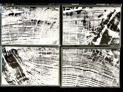 Tree Ring Greeting Card